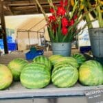 9 watermelons on a table in front of a vase of red flowers 